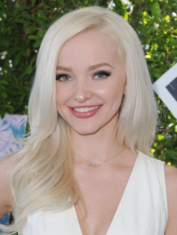 Platinum Blonde Long Lace Front Human Hair Wig HH009