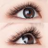 Y-Shape Eyelashes Set E024