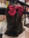 ONE PIECE BOW-KNOT HAIR CLIP HB011