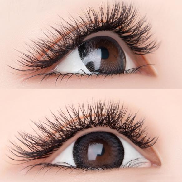 Y-Eyelashes Gift Set E021