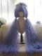 47INCH SUPER LONG PURPLE RIPPLE CORN CURLS LOLITA WIG LG942