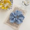 5 PCS BLUE FLOWERS HAIR BAND HB004