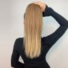 Ponytails Extensions Gold PE001