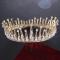GOLDEN BRIDAL CROWN AC020