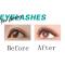 3D Automatic Flowering Eyelashes Set E014