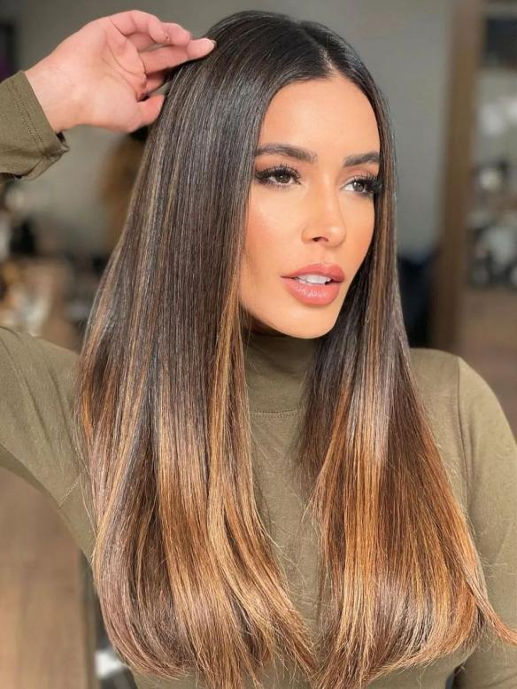 Black Ormbe Brown 100% Remy Human Hair Wig HH210