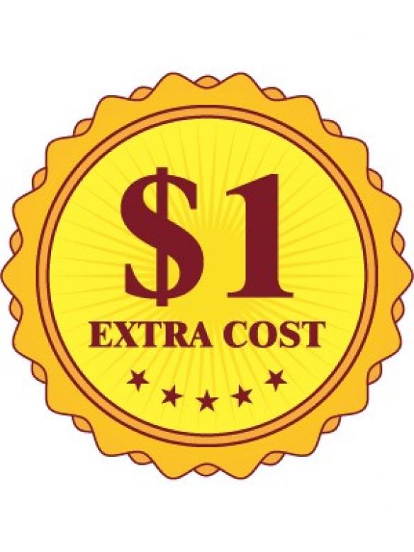 Extra Cost