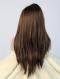 Brown Straight bra strap length Lace Front Synthetic Wig-DQ019
